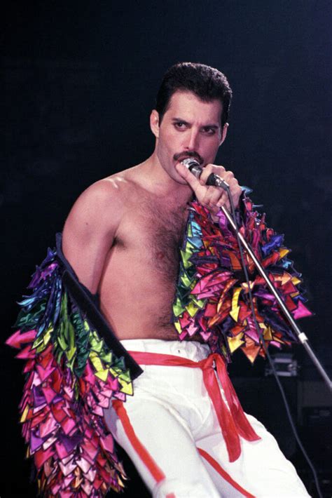 freddie mercury gay|Freddie Mercury